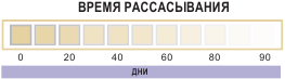 Время рассасывания хромированной нити Atramat Chromic Gut
