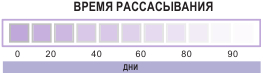 Время рассасывания полигликолидной нити Atramat PGA