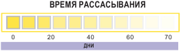 Время рассасывания кетгута простого Атрамат