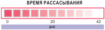 Время рассасывания нити PGA